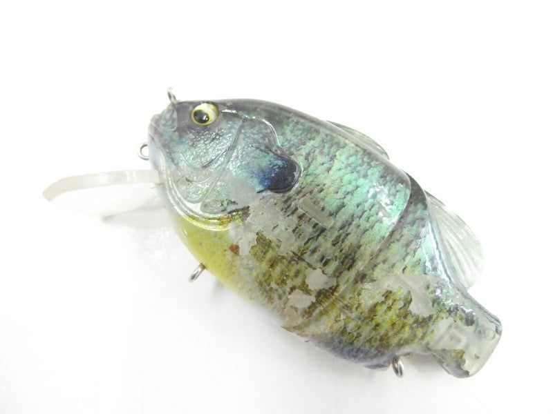 ギルロイドベビー – 中古釣具の買取・販売 イエローフィッシュ Yellowfish