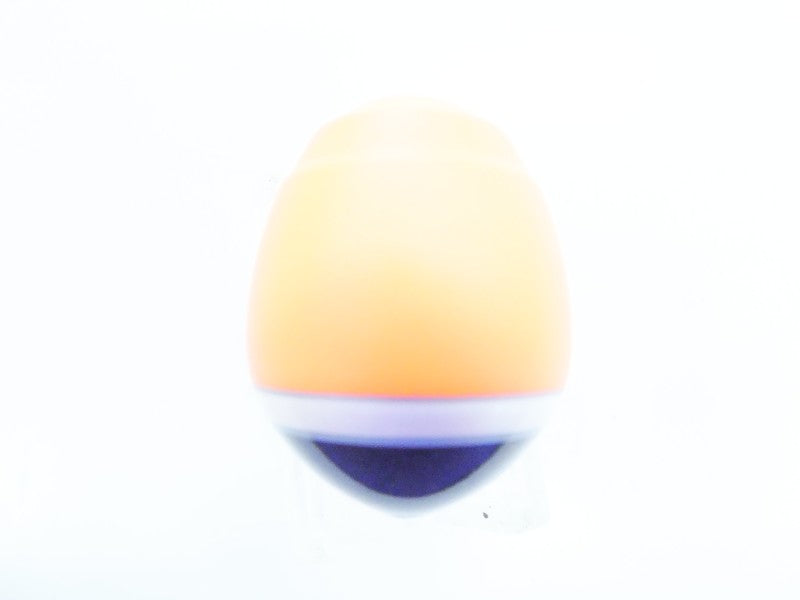 1番目の画像