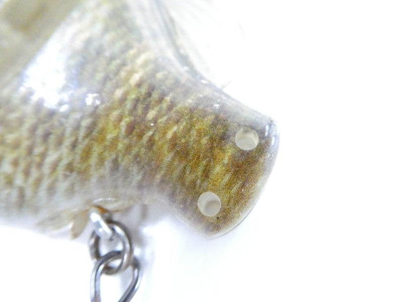 ギルロイドベビー – 中古釣具の買取・販売 イエローフィッシュ Yellowfish