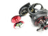 8番目の画像