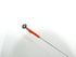 1st image