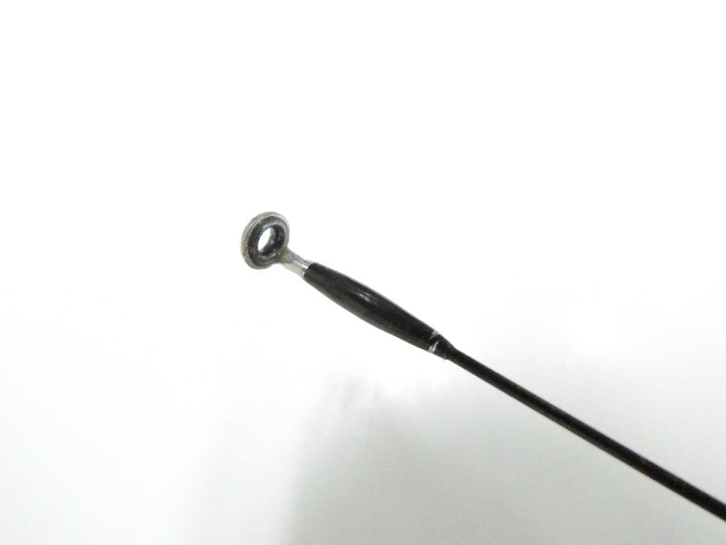 1st image