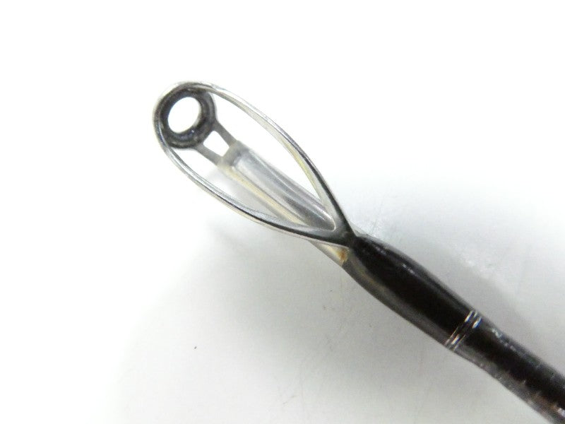 1st image