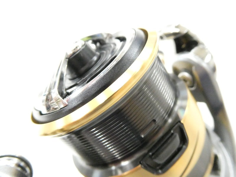 1st image