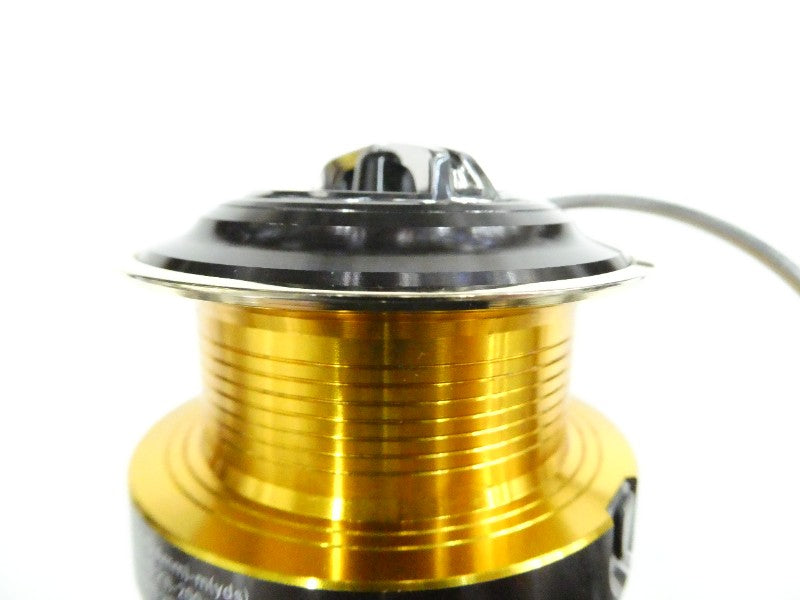 1st image